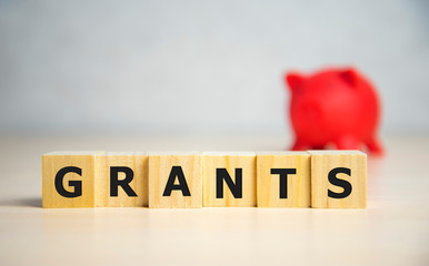 Read more about the article How To Write A Winning Grant Application?